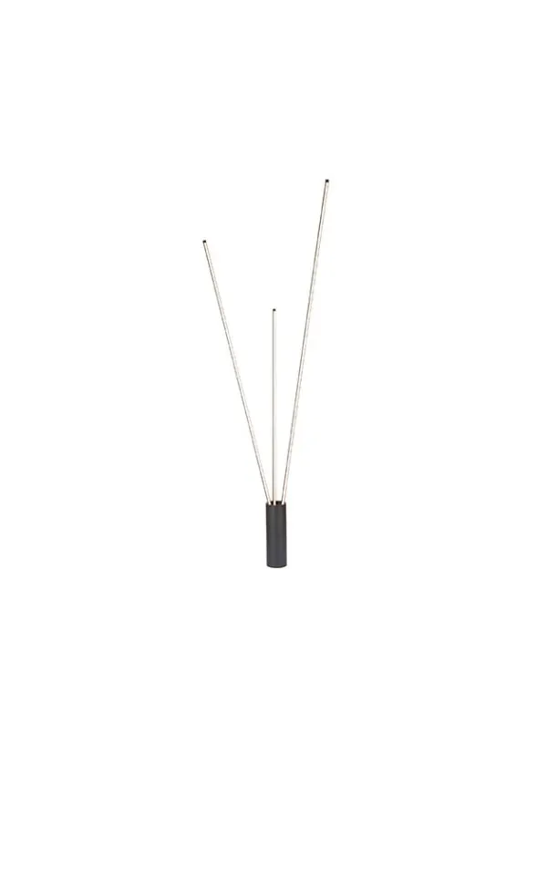 چراغ استند پایه بلند 60 وات نور 3000k کد LC111 (BLK) - تصویر 2