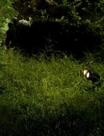 چراغ نیزه ای IP65 با سرپیچ GU10 کد N1010 - Image 5