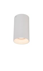 چراغ سقفی روکار استوانه 15 سانت با سرپیچ GU10 کد (N1012 (WHT/BLK - Image 3