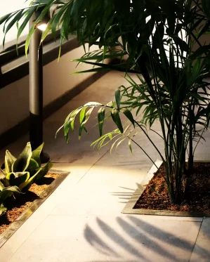 Eve-Wellness-نورپردازی-مرکز-سلامت-11