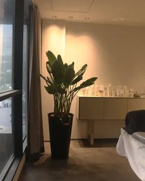 Eve-Wellness-نورپردازی-مرکز-سلامت-3