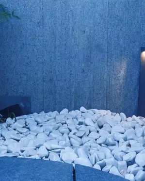پروژه-خبره