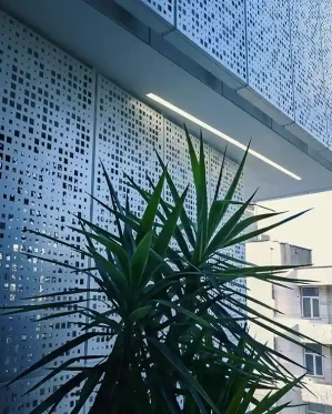 پروژه-خبره