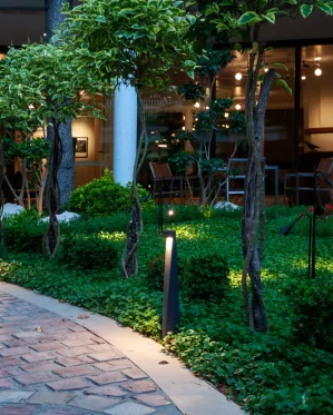 دکتر-معتمد-1