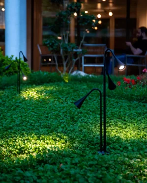 دکتر-معتمد-2