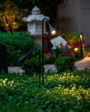 دکتر-معتمد-31