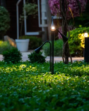 دکتر-معتمد-33