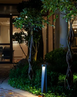 دکتر-معتمد-4