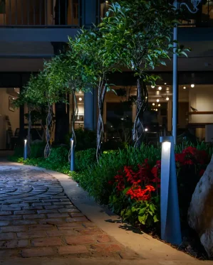 دکتر-معتمد-5