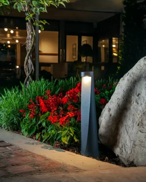 دکتر-معتمد-6