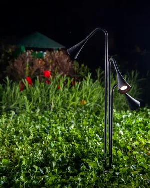 دکتر-معتمد-8