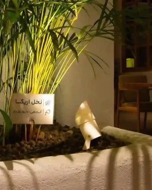 نون کافه4