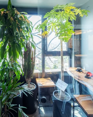 گروه-رسا-14_14